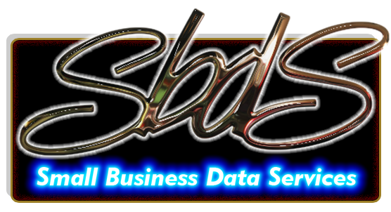 Small Business Data Services
